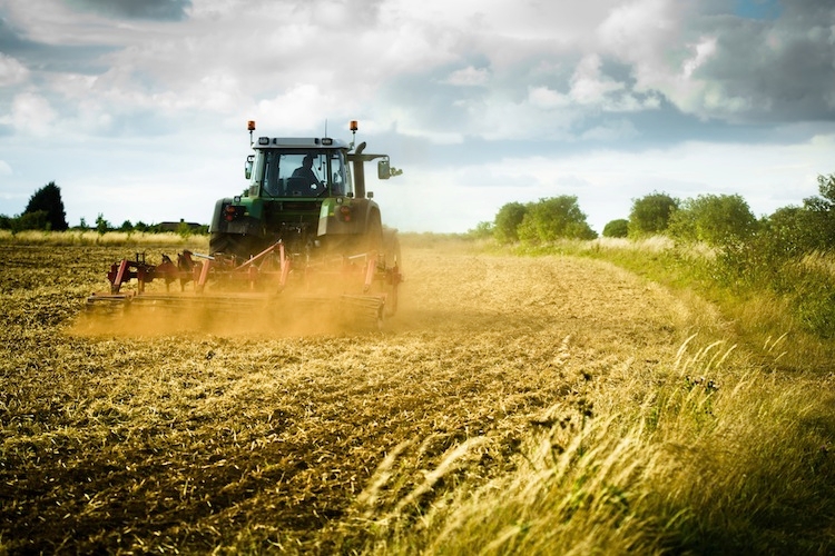 economia-agricola.jpg