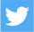 twitter icon