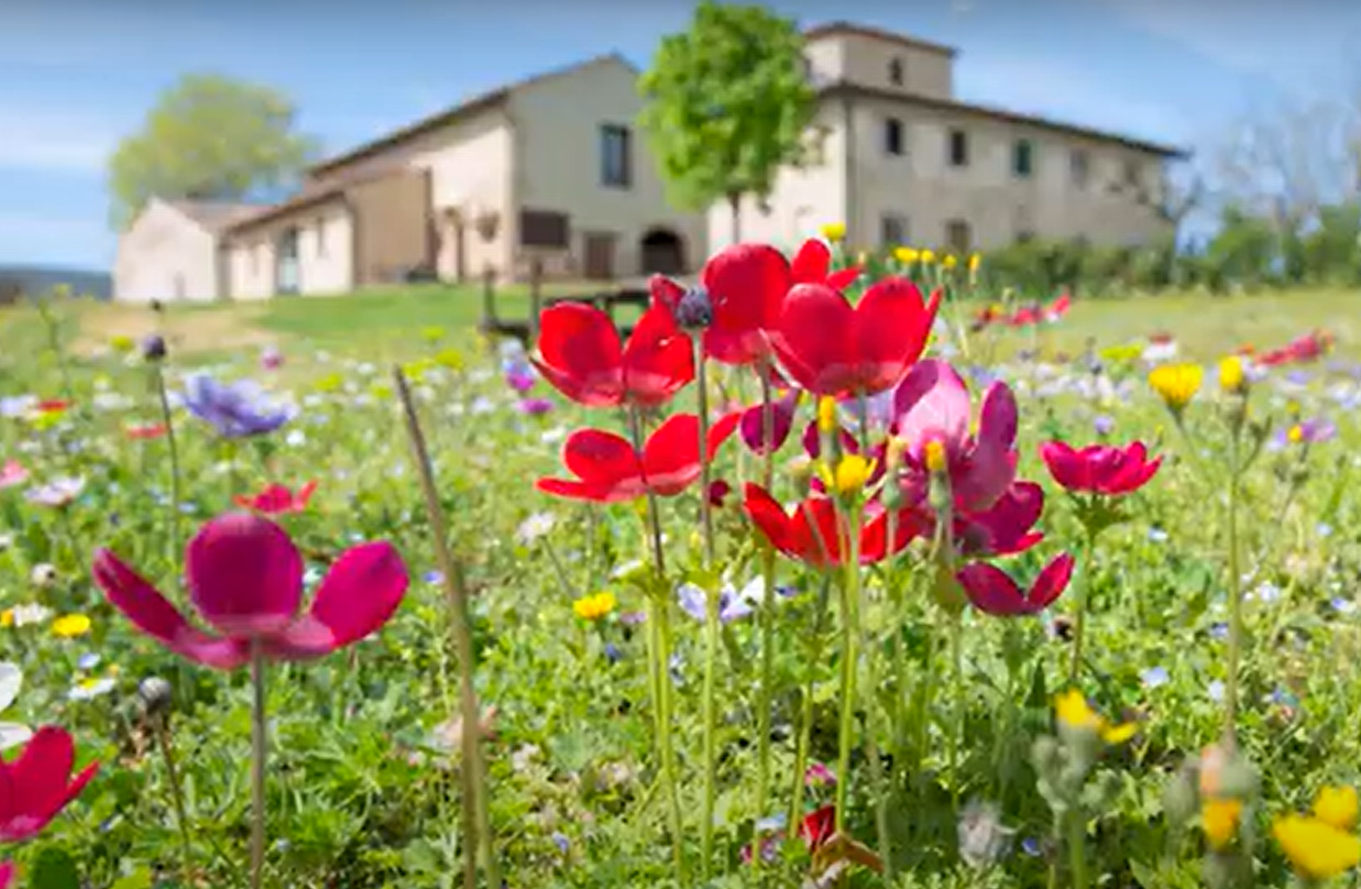 Progetto Ecoflorland - Coltivare la bellezza: ecosistemi e valorizzazione territoriale