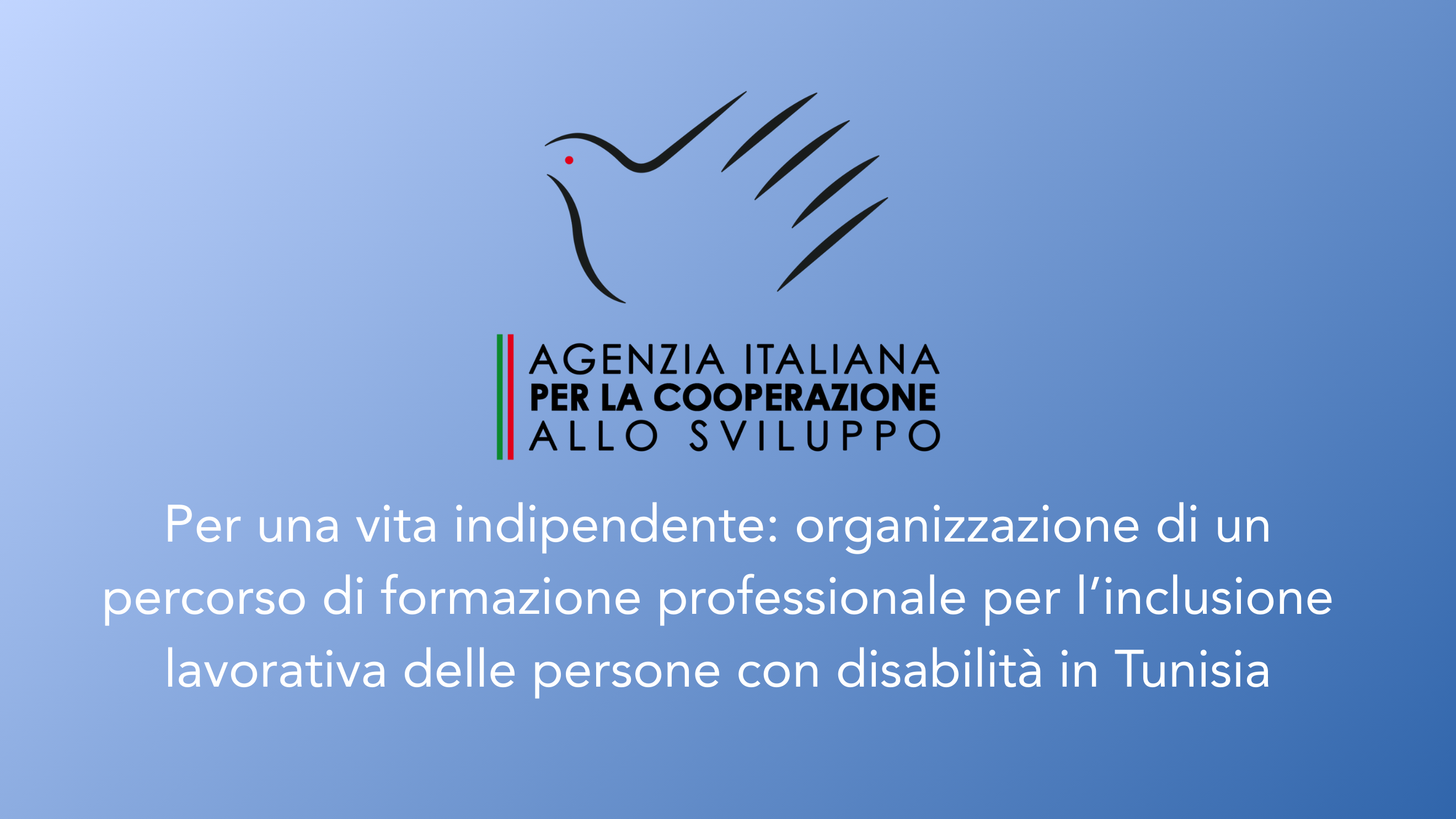 Per una vita indipendente: organizzazione di un percorso di formazione professionale per l’inclusione lavorativa delle persone con disabilità in Tunisia